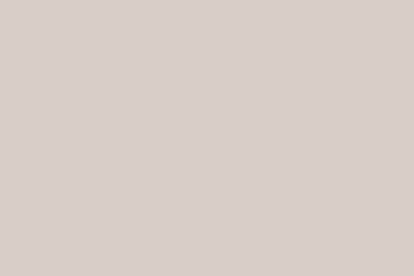 Light beige color banner background, perfect for minimalistic design or promotional use.